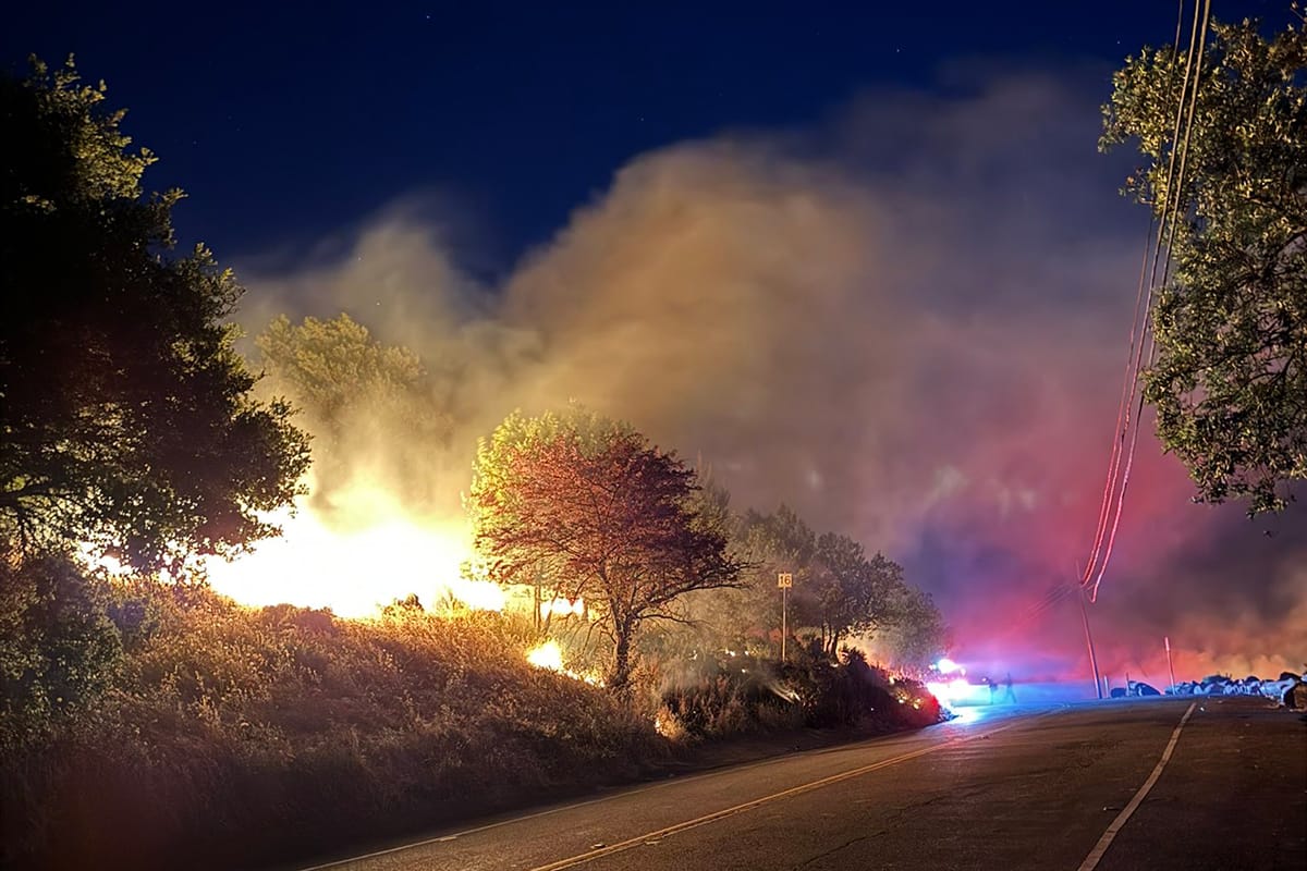 Fireworks started 2-acre grass fire in Berkeley-Oakland hills