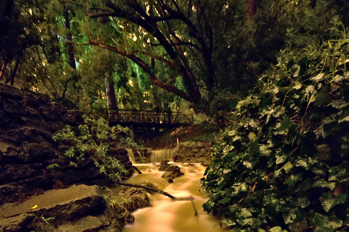 Body found in Berkeley Hills ravine near Codornices Park