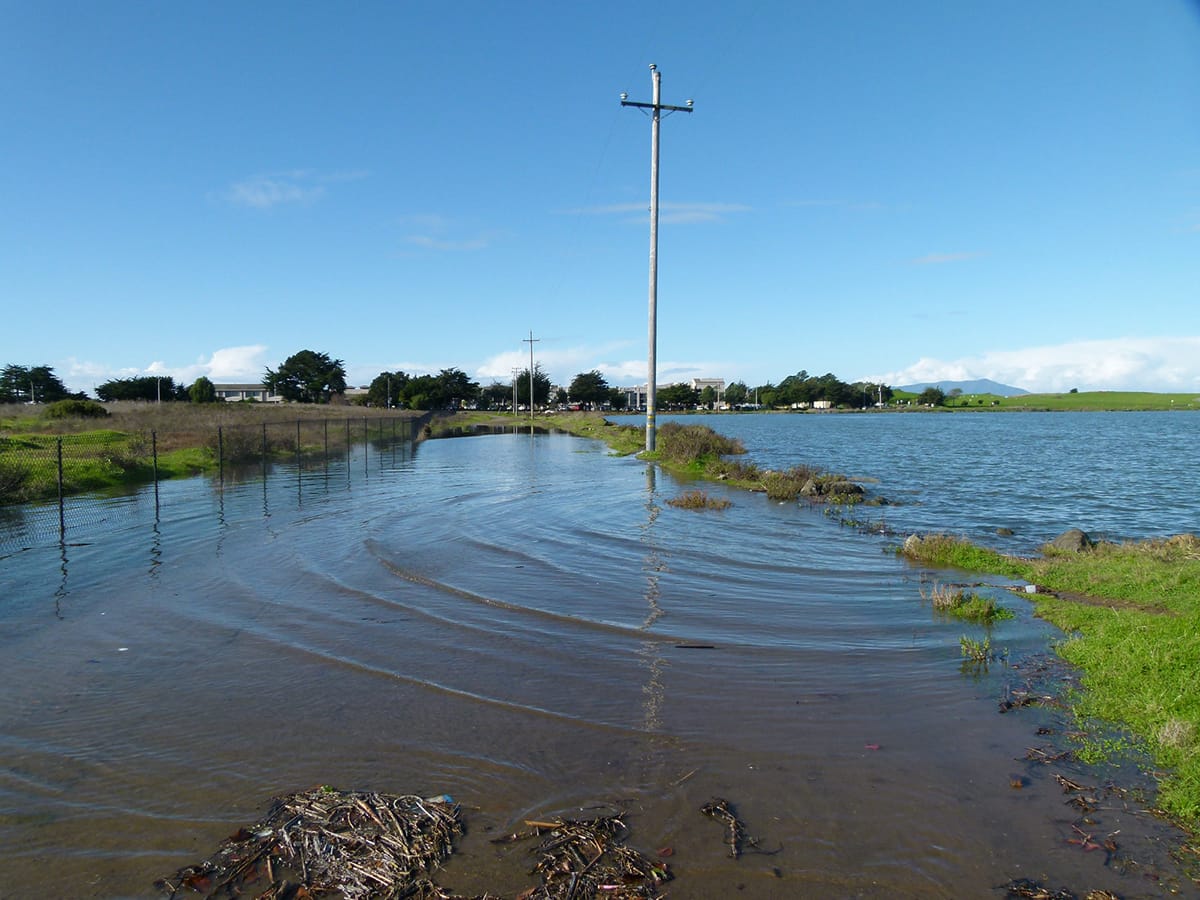 What you can do about storm drain problems in Berkeley