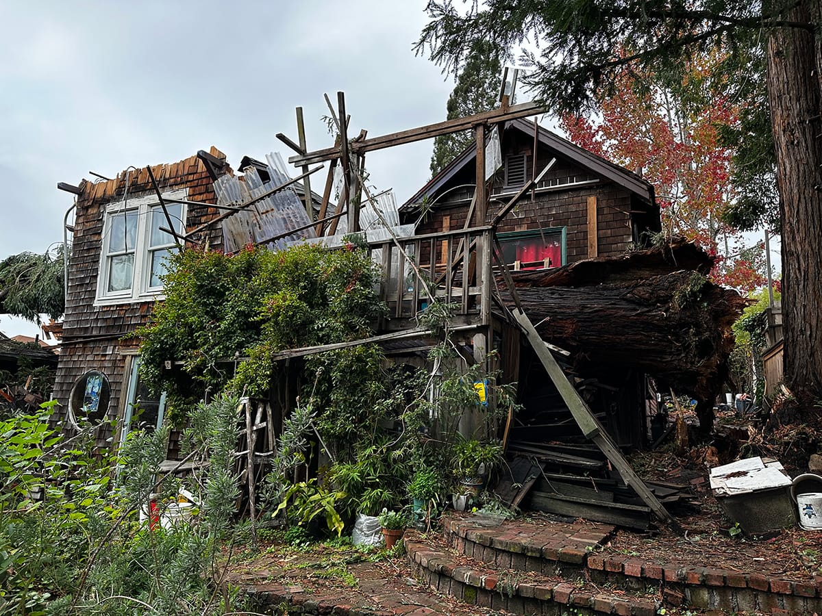 High winds topple redwood, 2 homes partly uninhabitable